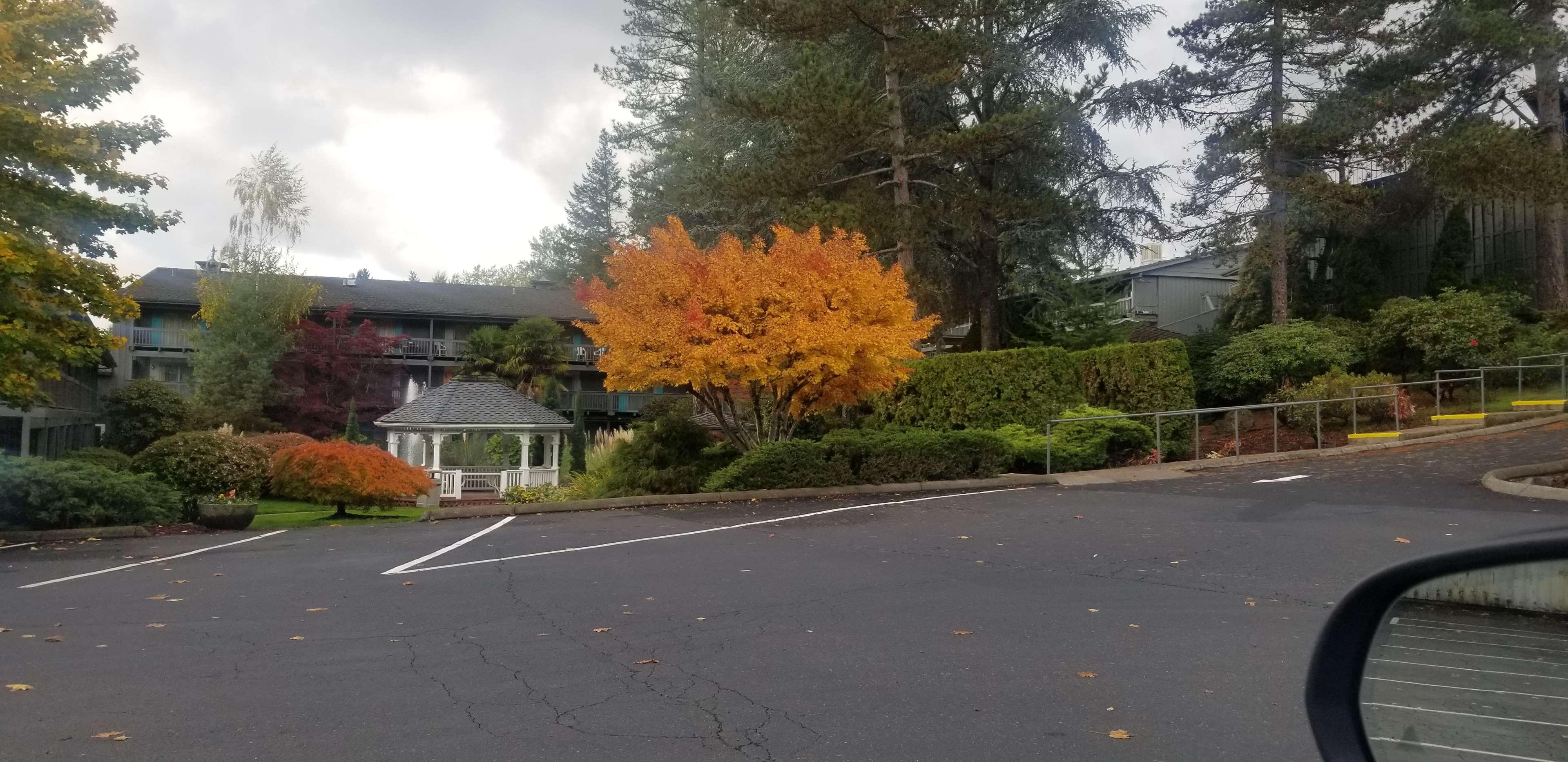 Best Western Portland West Beaverton Exterior photo